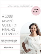 A Loss Mamas Guide to Natural Hormone Balance (ebook)